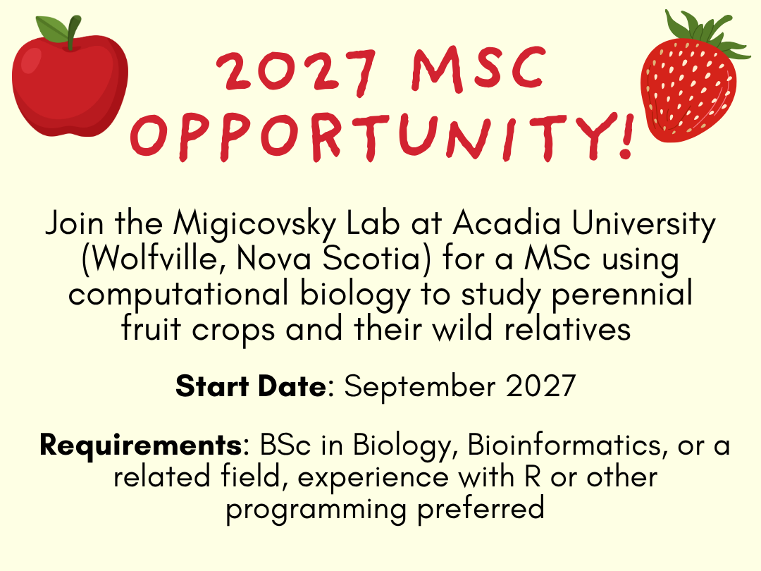 2027 MSc Opportunity
